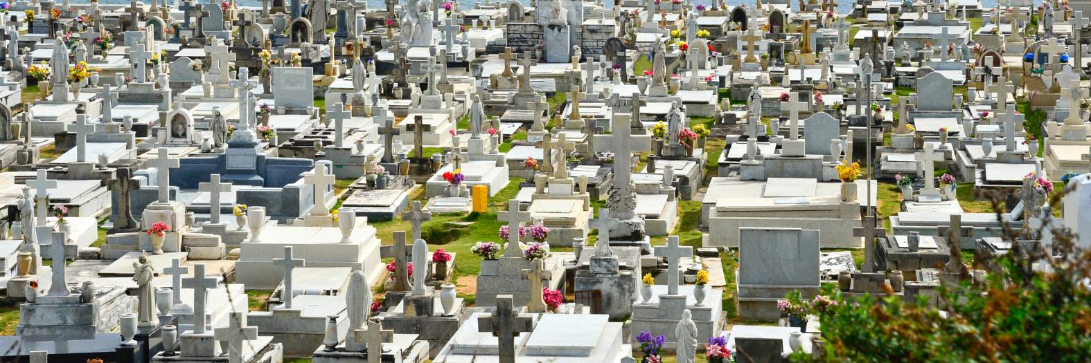 Puntarenas con cementerios saturados ¿Lo sabías? - Campos del Pacífico